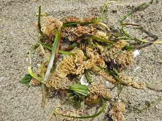 DSCN0645.jpg