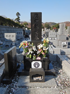 DSCN1100.JPG