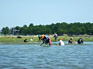 DSCN2171.jpg