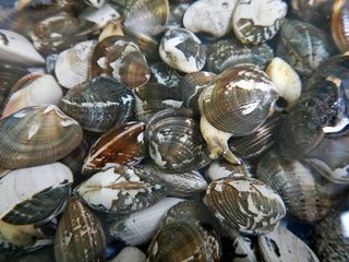 DSCN2177.jpg