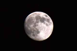 DSC_0291.jpg
