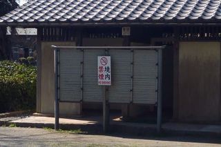 P1300527.jpg