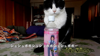 vlcsnap-2018-12-24-22h16m40s208.png